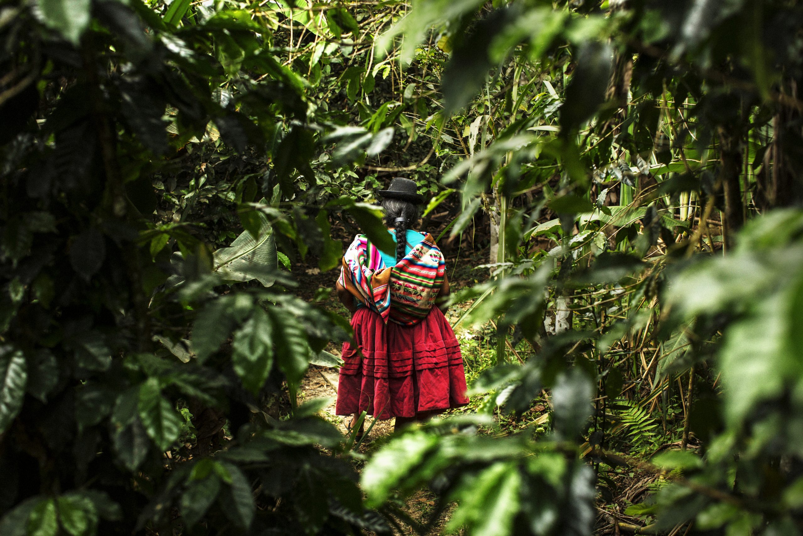 Peruvian woman walking in the forest